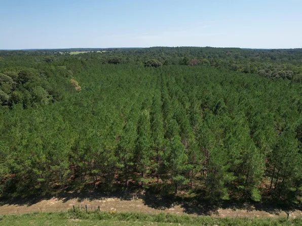 4360 County Road 1640, Grapeland, TX 75844