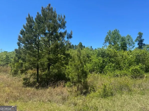 0 Grant Rowe Rd, Dublin, GA 31021