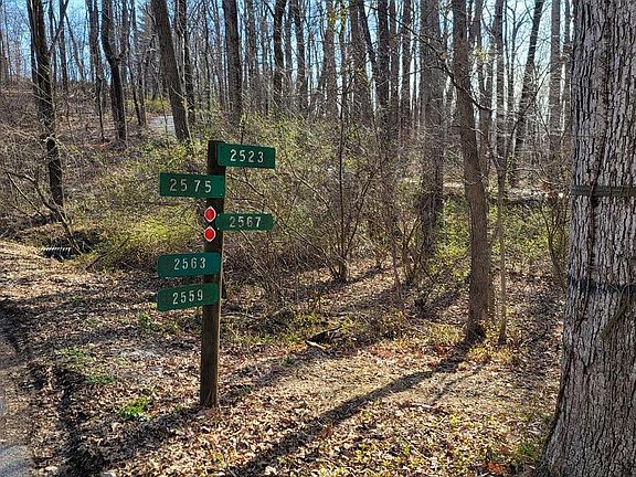 3rd image of 0 Acs Of Ebbvale Rd Lot 15.088