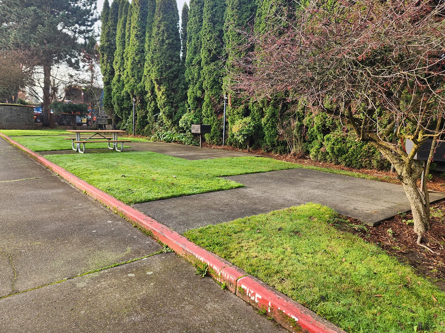 Shady Manor — Photo 4