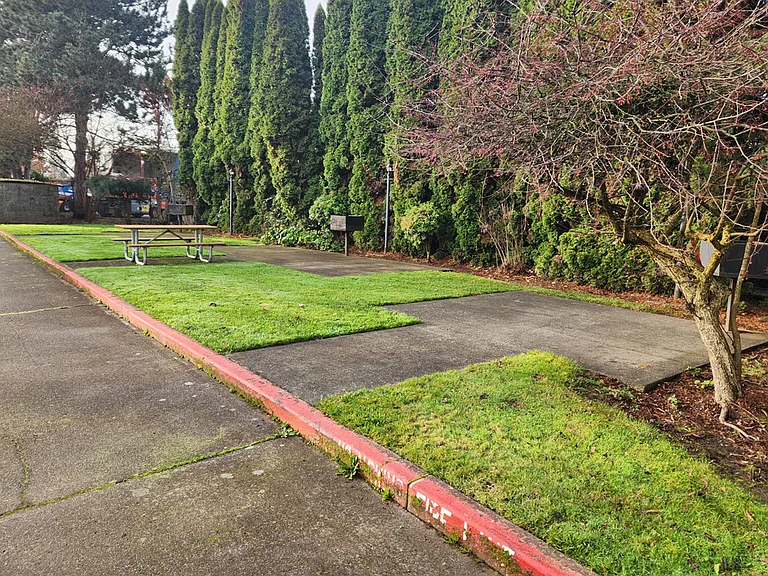 Shady Manor — Photo 4
