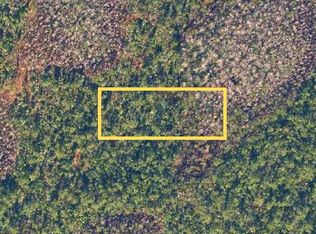 E Colonial Dr LOT 22, Christmas, FL 32709