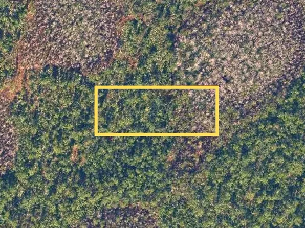 E Colonial Dr Lot 22, Christmas, FL 32709