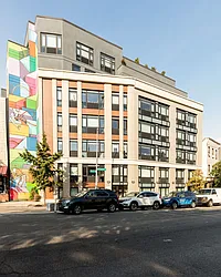 Rented by Bold New York