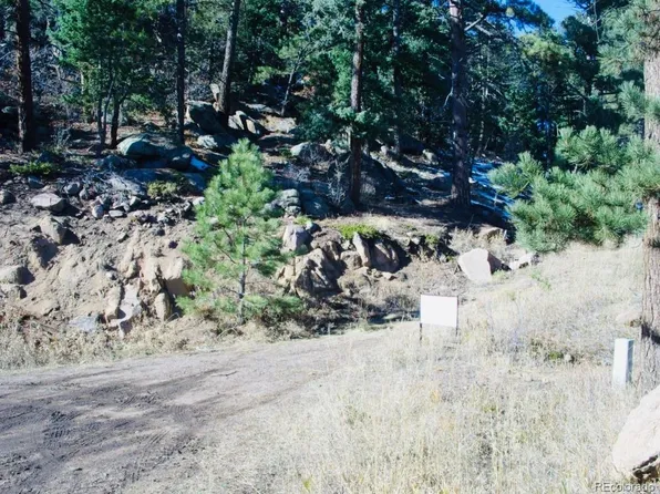 22076 High Springs Trail, Morrison, CO 80465