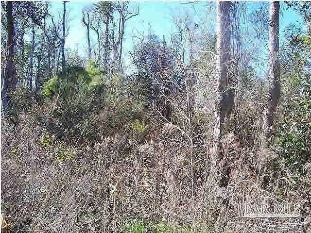 2nd image of Doc Whitfield Rd