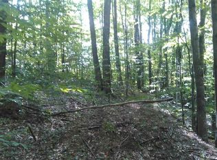 0 Shumaker Rd, Bellaire, MI 49615