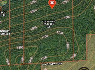 State Highway 8, Deposit, NY 13754