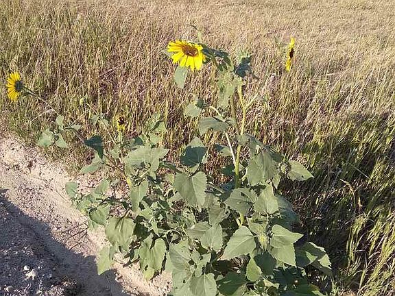 5th image of 70123 County Road 24