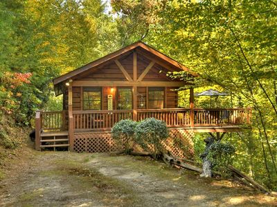 37 Dean Ct, Blue Ridge, GA, 30513