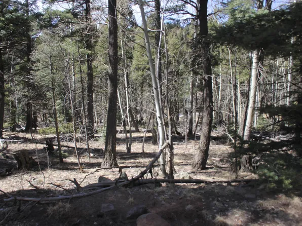 lot 264 El Camino Real, Angel Fire, NM 87710