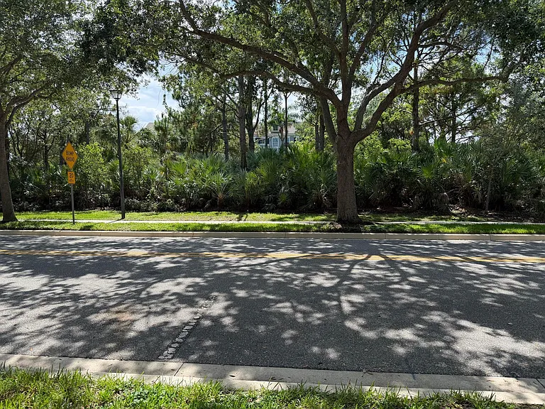 241 E Thatch Palm Cir — Photo 4