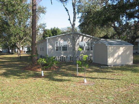 back yard