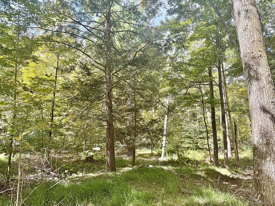 2nd image of 5 Trails