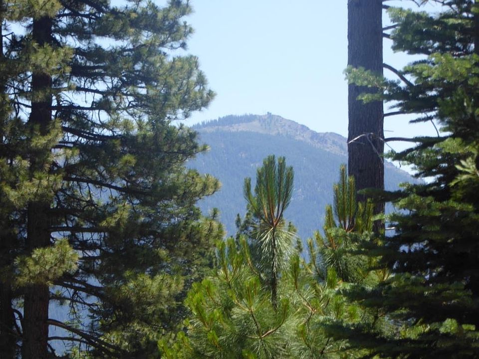 2nd image of 372 Snowy Peak Way