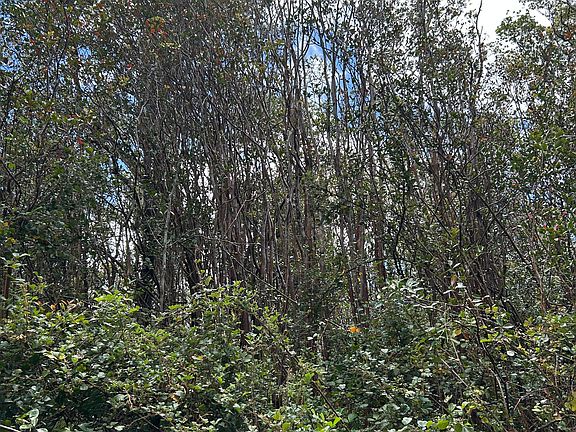 5th image of Road 4 Lot 181