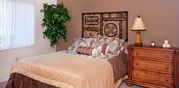 5th image of 1000 Marlin Lakes Cir