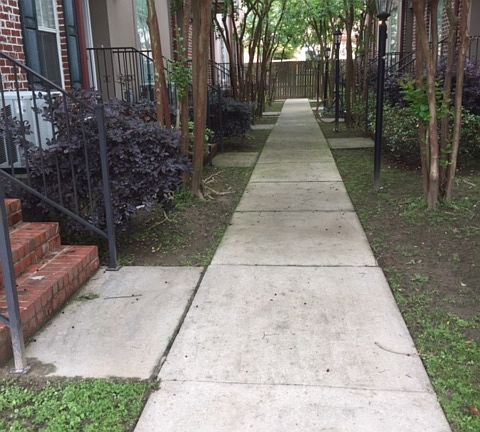 Walking Path in front