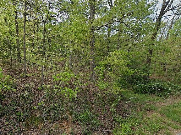 5th image of LOT 10 Rountree Subdivision