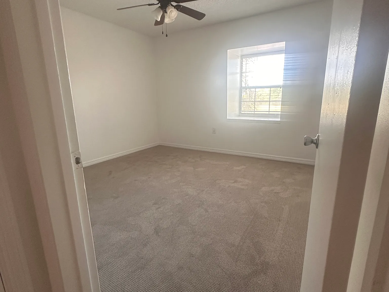 2 bed, 1000 sqft, $1,550 — Photo 3
