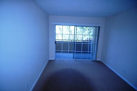 4th image of 11252 Peach Grove St APT 203
