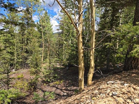2nd image of Lot 6803 Ryland Road