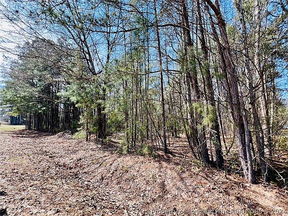 5th image of 265 Country Ln