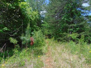 10845 Scenic River Rd LOT 1, Madisonville, TN 37354