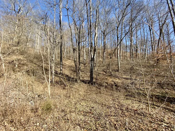 160 Bayside Dr, Lancaster, TN 38569