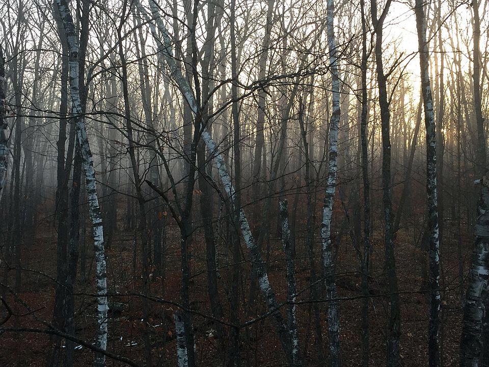 1st image of Xxx Hwy 27