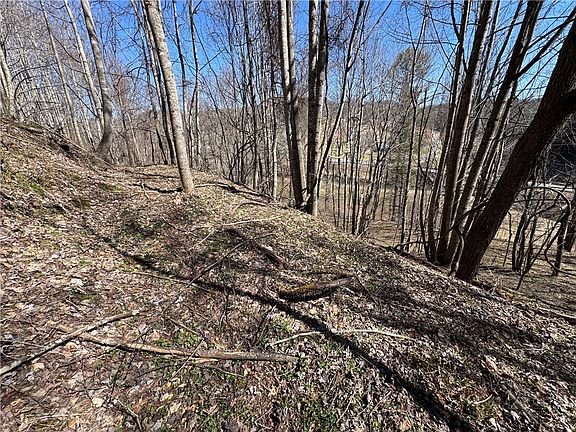 4th image of 5.33 Acres Charlie King Road