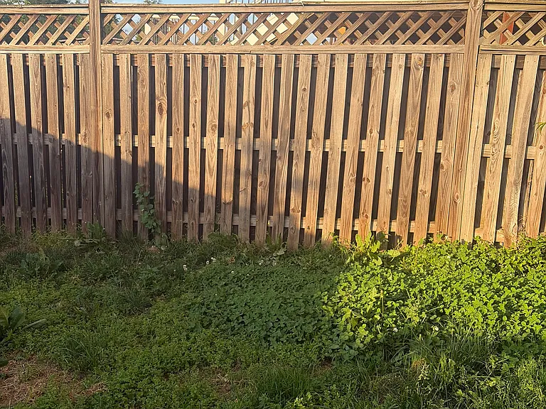 116 Monte Carlo Way — Photo 8