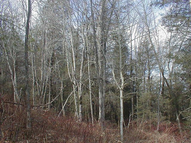1st image of 54 Trillium Ctr