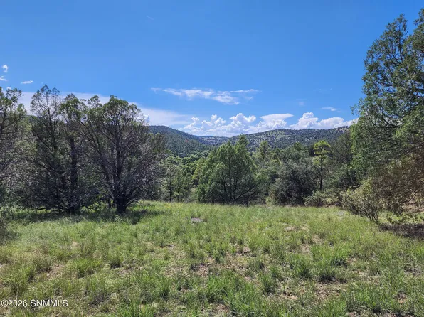 LOT 5 Highway 35, Mimbres, NM 88049