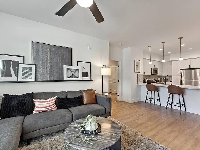 Vive Luxe, San Diego, CA, Living Room