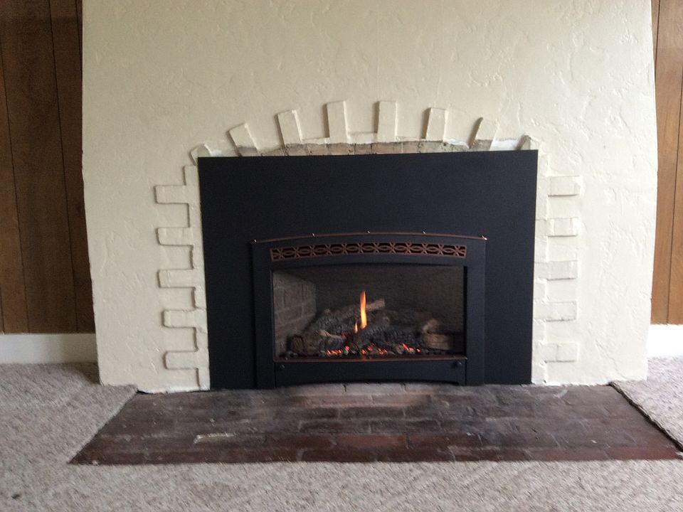 Gas fire insert