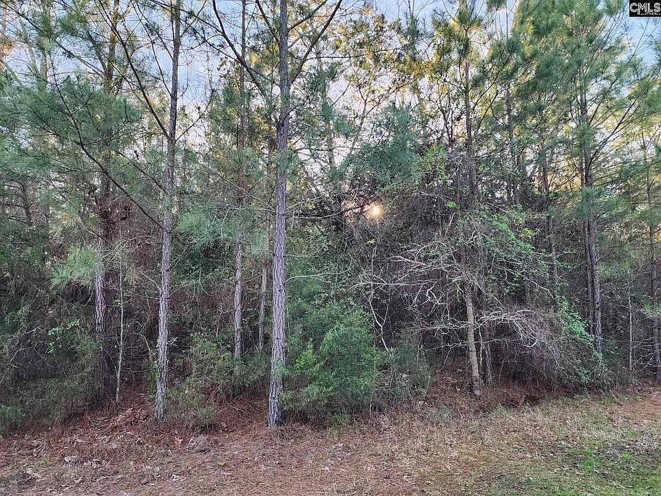 1st image of 0 Wright Sims Rd