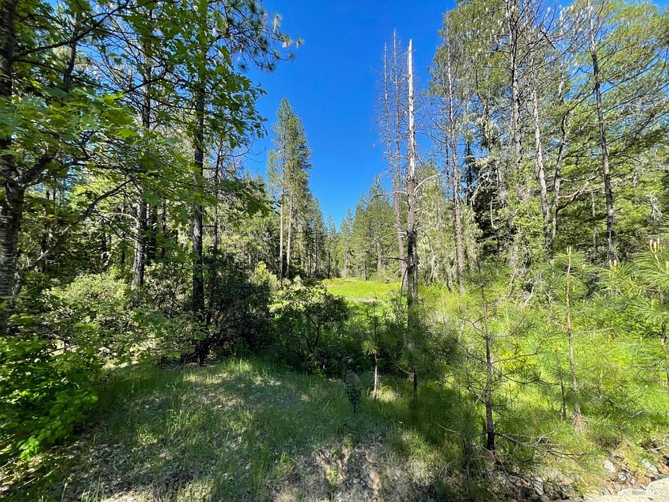 2nd image of 2401 Tenmile Creek Road
