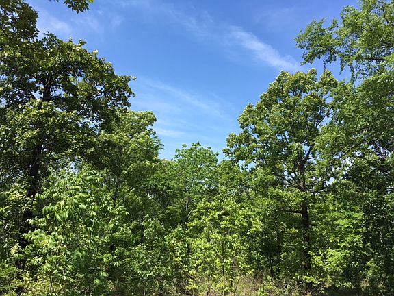2nd image of Woodland Hls