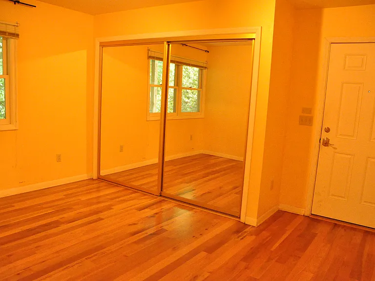 Mirrored closets have closet organizers