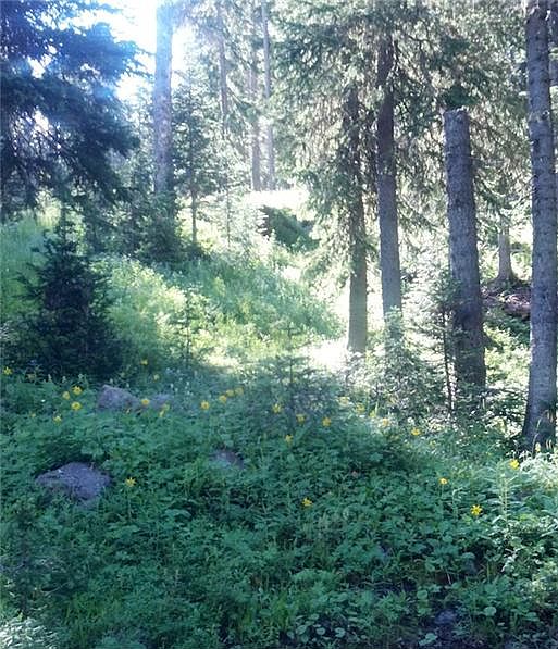 1st image of Tbd Upper Twin Lake Drive