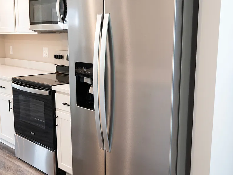 Ice and Water Dispenser