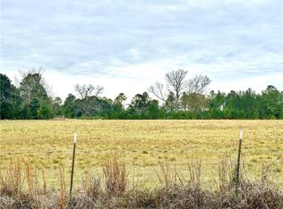 7040 E Patrick Rd, Citronelle, AL 36522