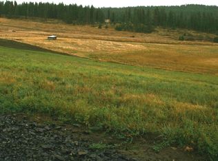 0000 Bulldog Creek Parcel #D, Valley, WA 99181