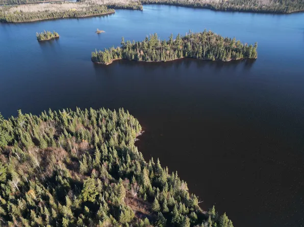 2-3 Fullerton Rd, Hovland, MN 55606