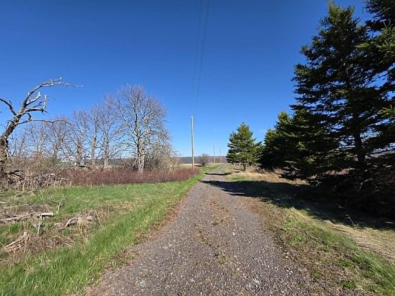 5th image of 840 Brule Point Rd