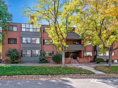 534 E 7th Avenue #307, Denver, CO, 80203