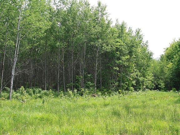 5th image of Tbd Skyline River's Edge