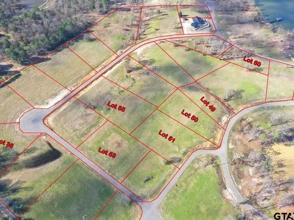 50 Southshores, Pittsburg, TX 75686