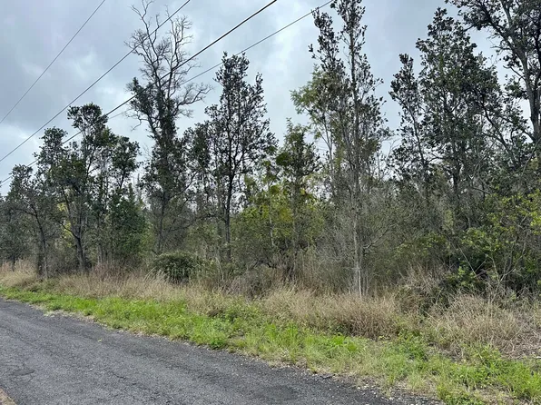 Bamboo Ln, Ocean View, HI 96737